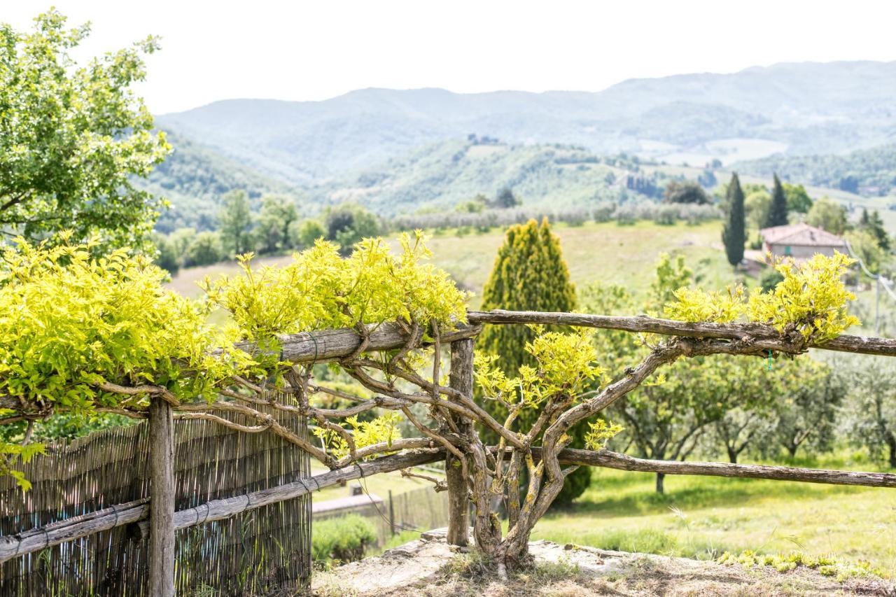 Agriturismo La Sala Greve in Chianti Ngoại thất bức ảnh